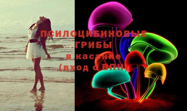 ешки Аркадак