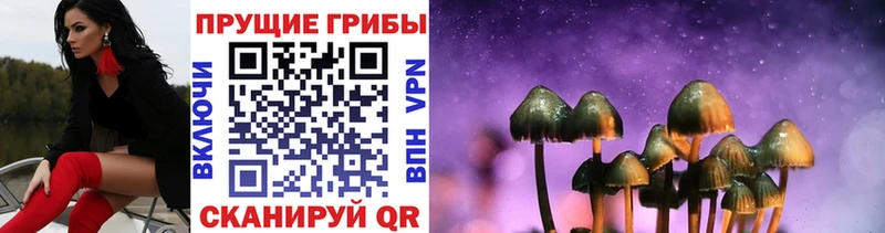 Псилоцибиновые грибы MAGIC MUSHROOMS  Рузаевка 